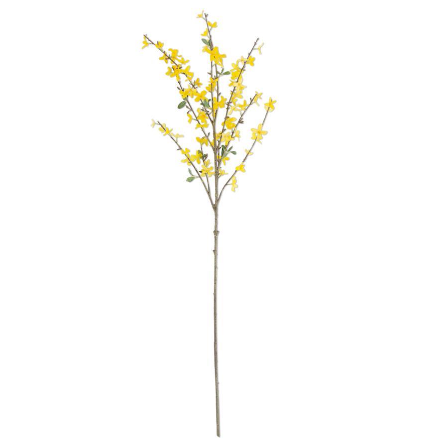 FORSYTHIA STEM | 44"