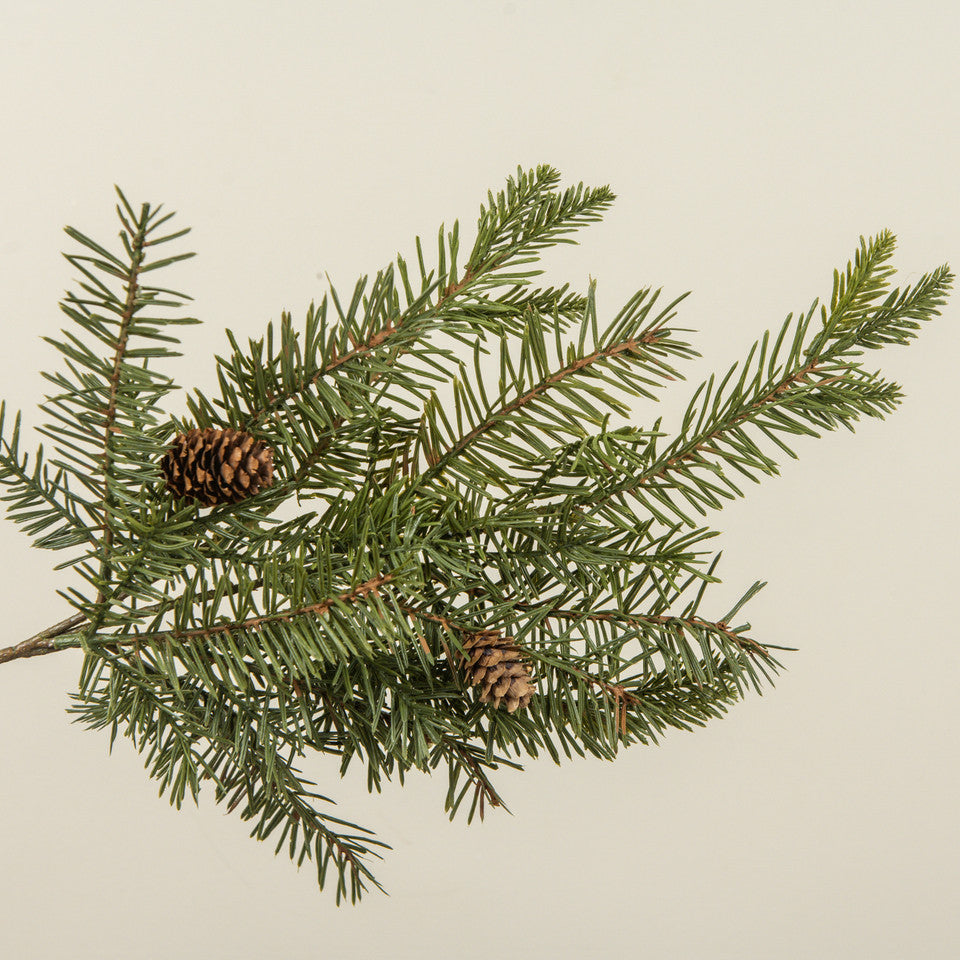 DOUGLAS FIR SPRAY W/ PINECONES 19"