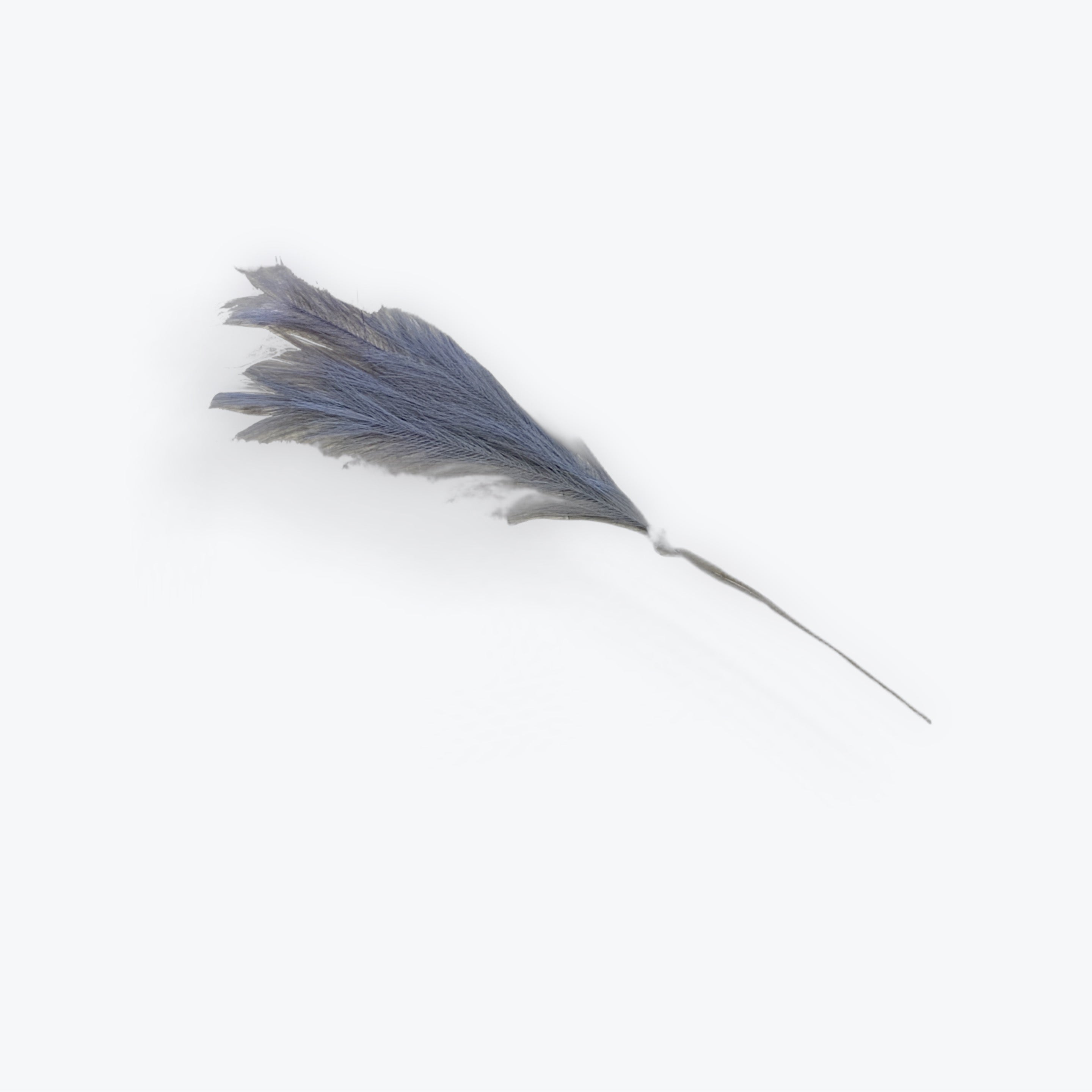 Grey Feather Pick 32”