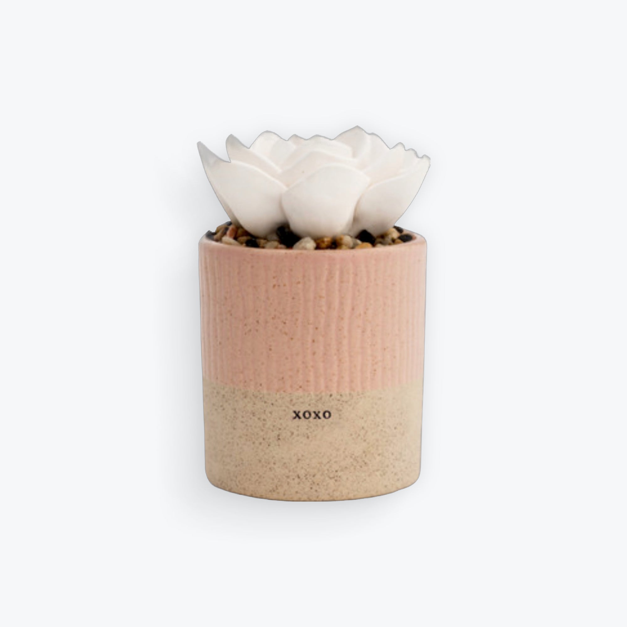 Succulent Oil Diffuser | XOXO