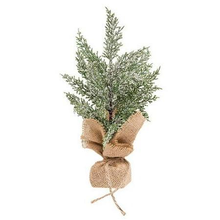 Snowy Mini Cedar Tree w/Burlap Base 11.5