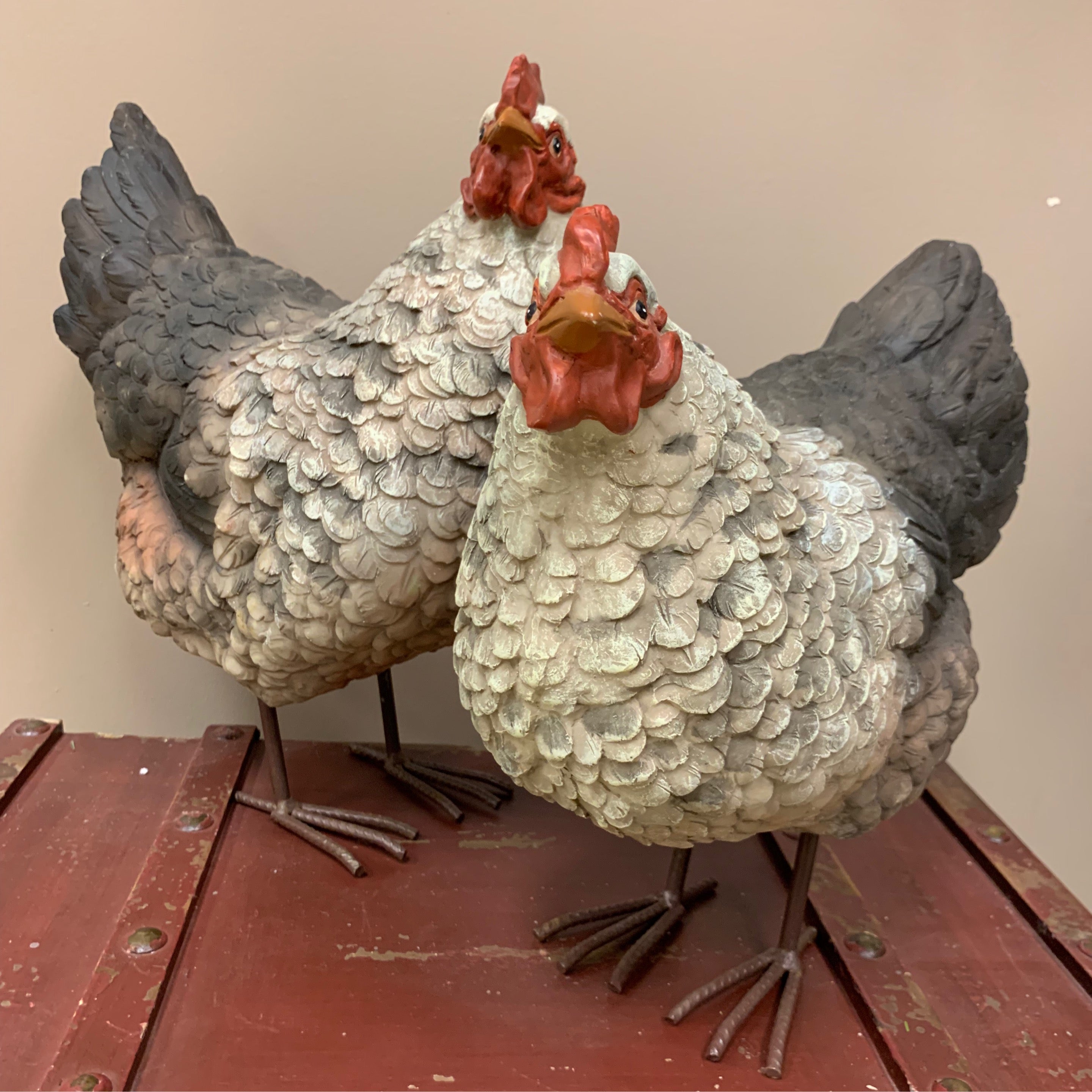 Old Grey Hen